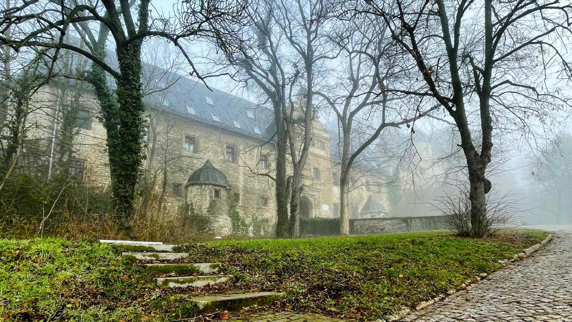 Schloss Beichlingen Bagian luar foto
