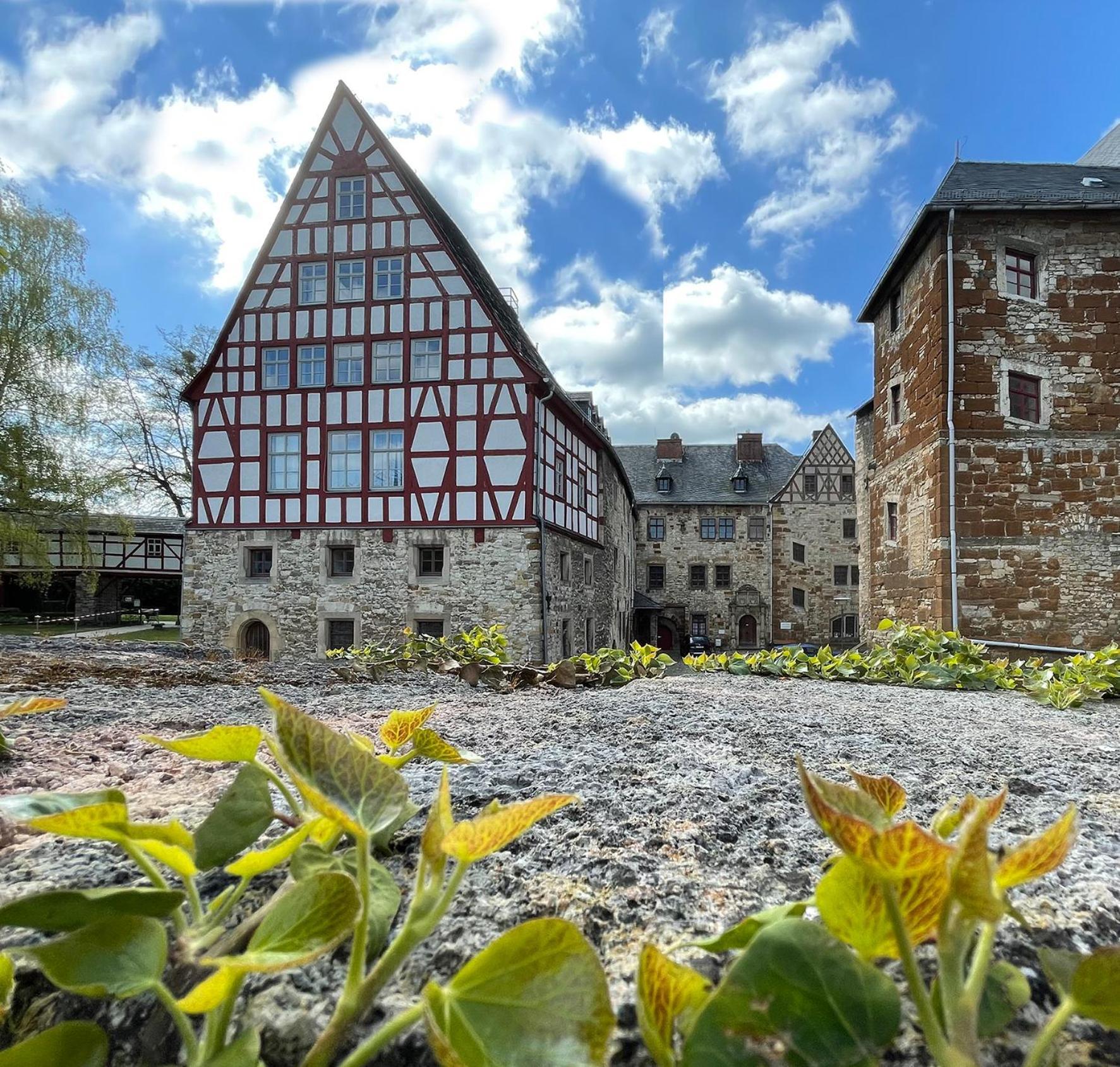 Schloss Beichlingen Bagian luar foto
