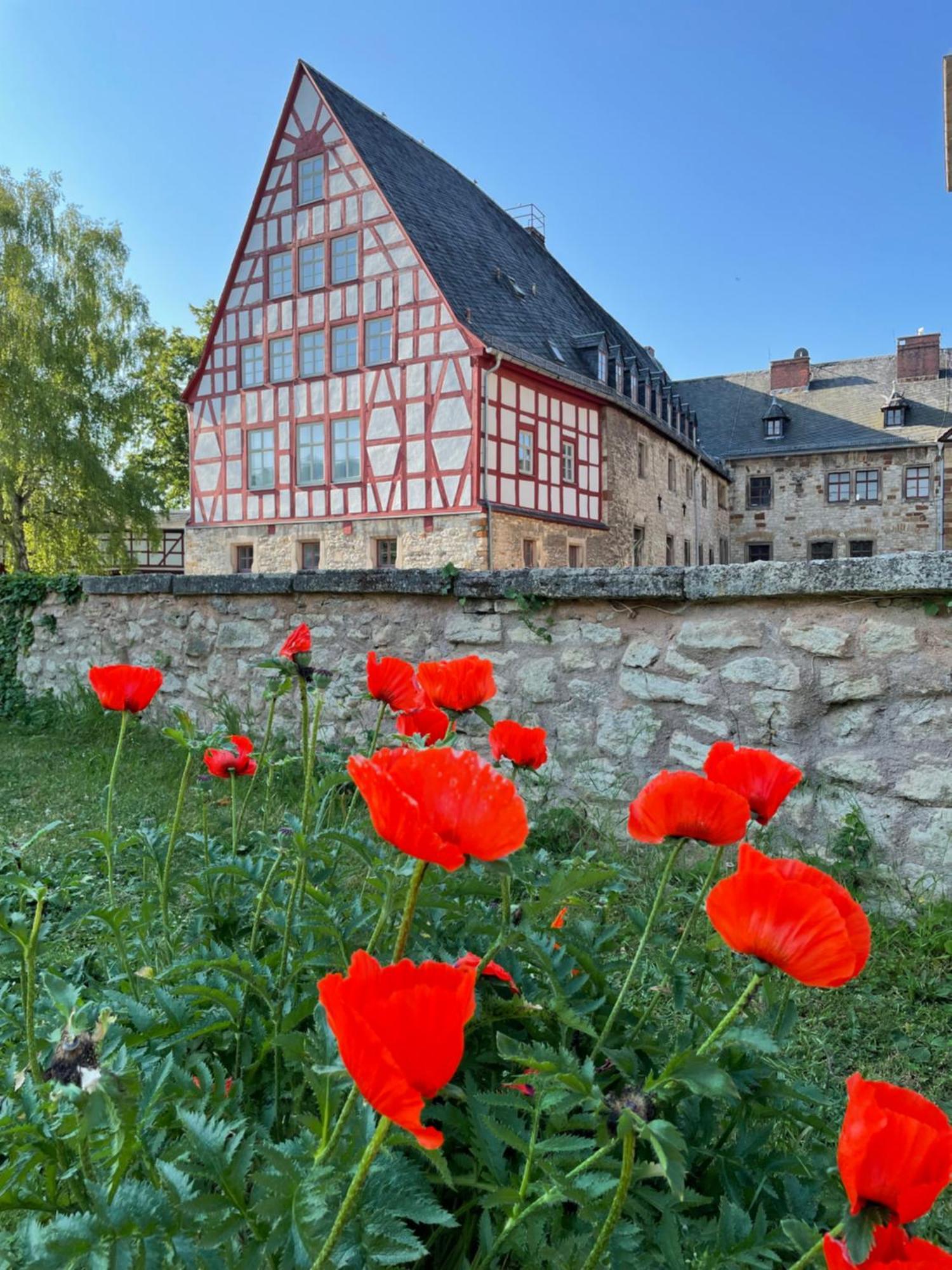 Schloss Beichlingen Bagian luar foto