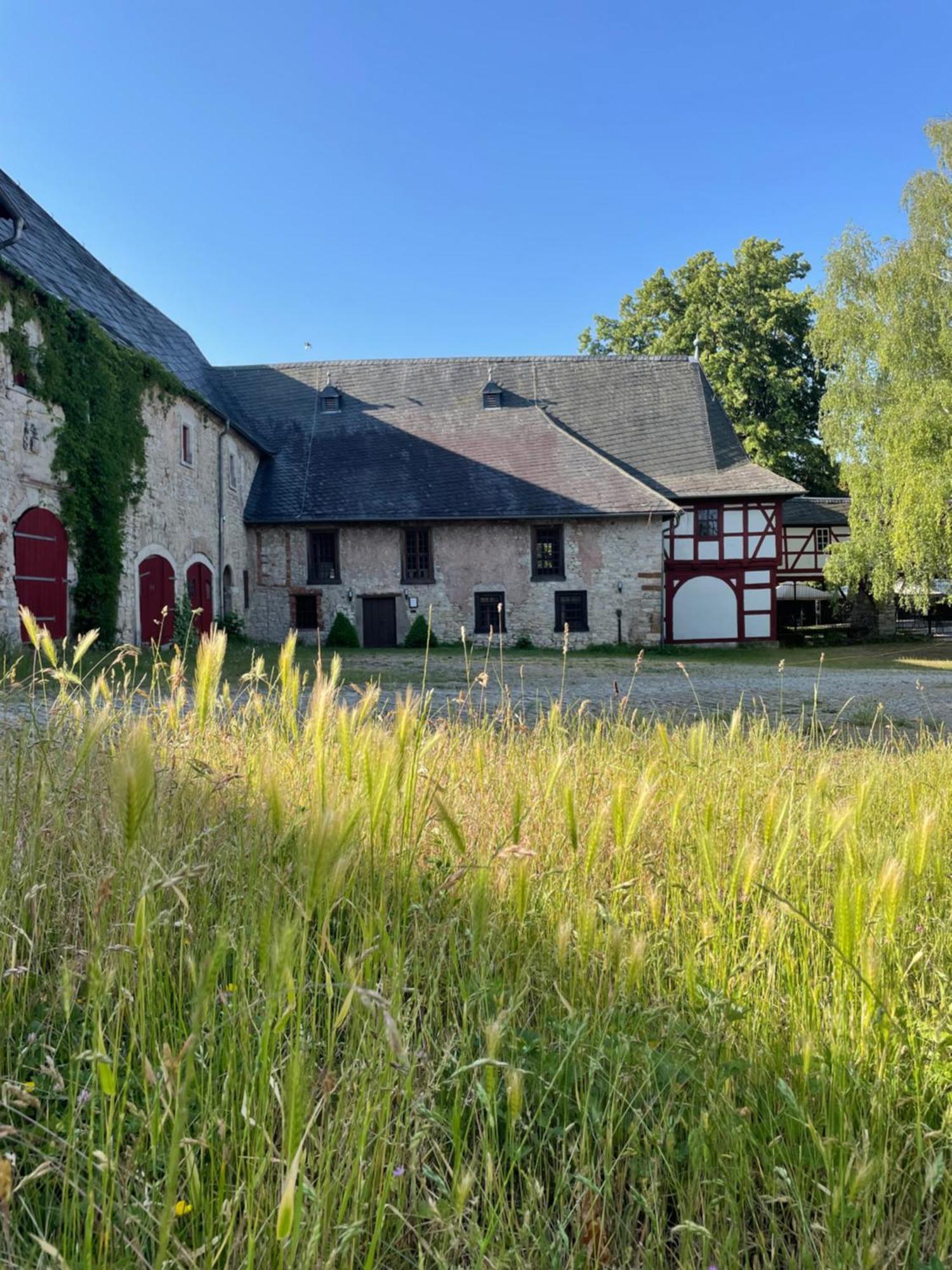 Schloss Beichlingen Bagian luar foto