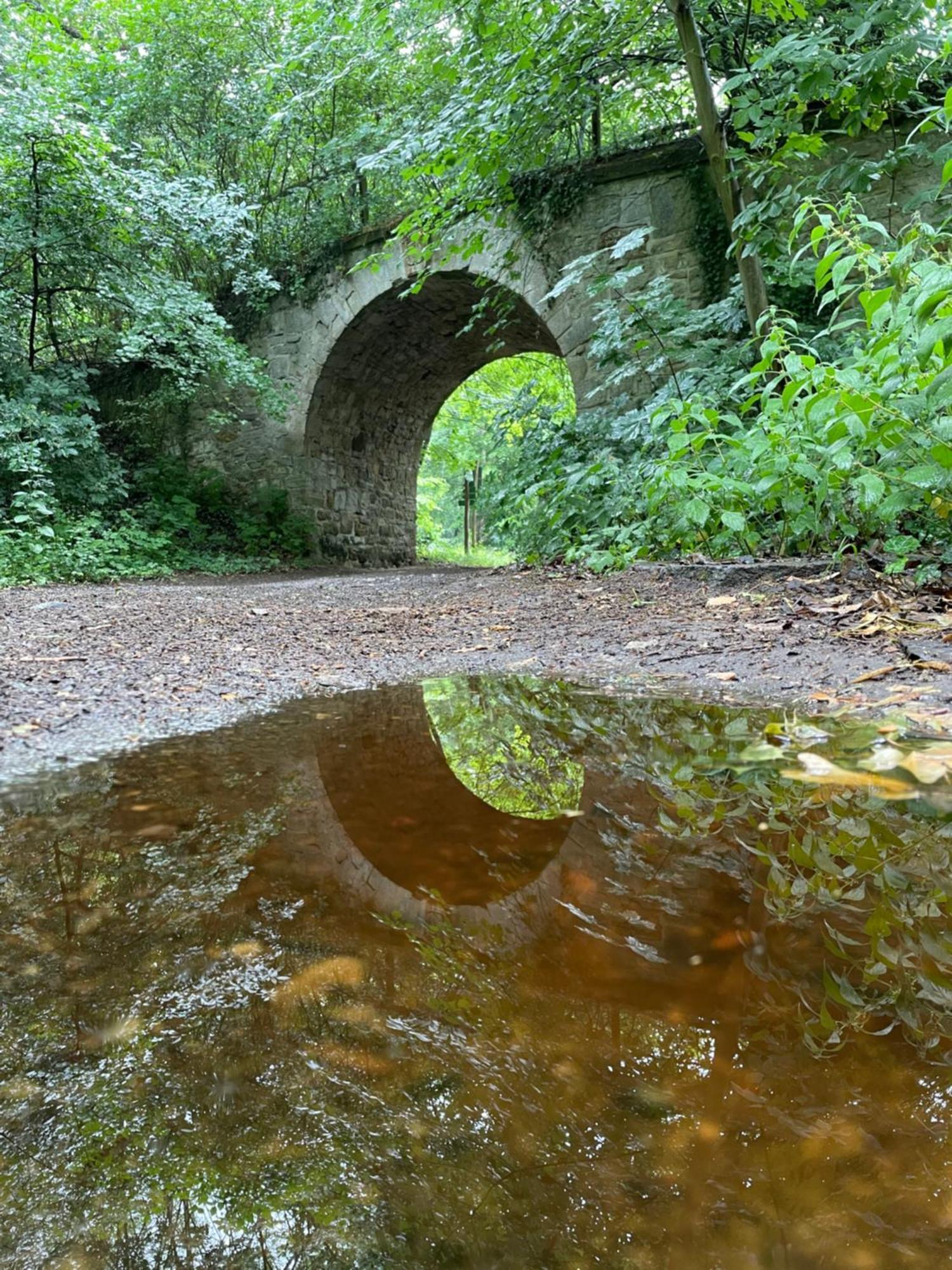Schloss Beichlingen Bagian luar foto