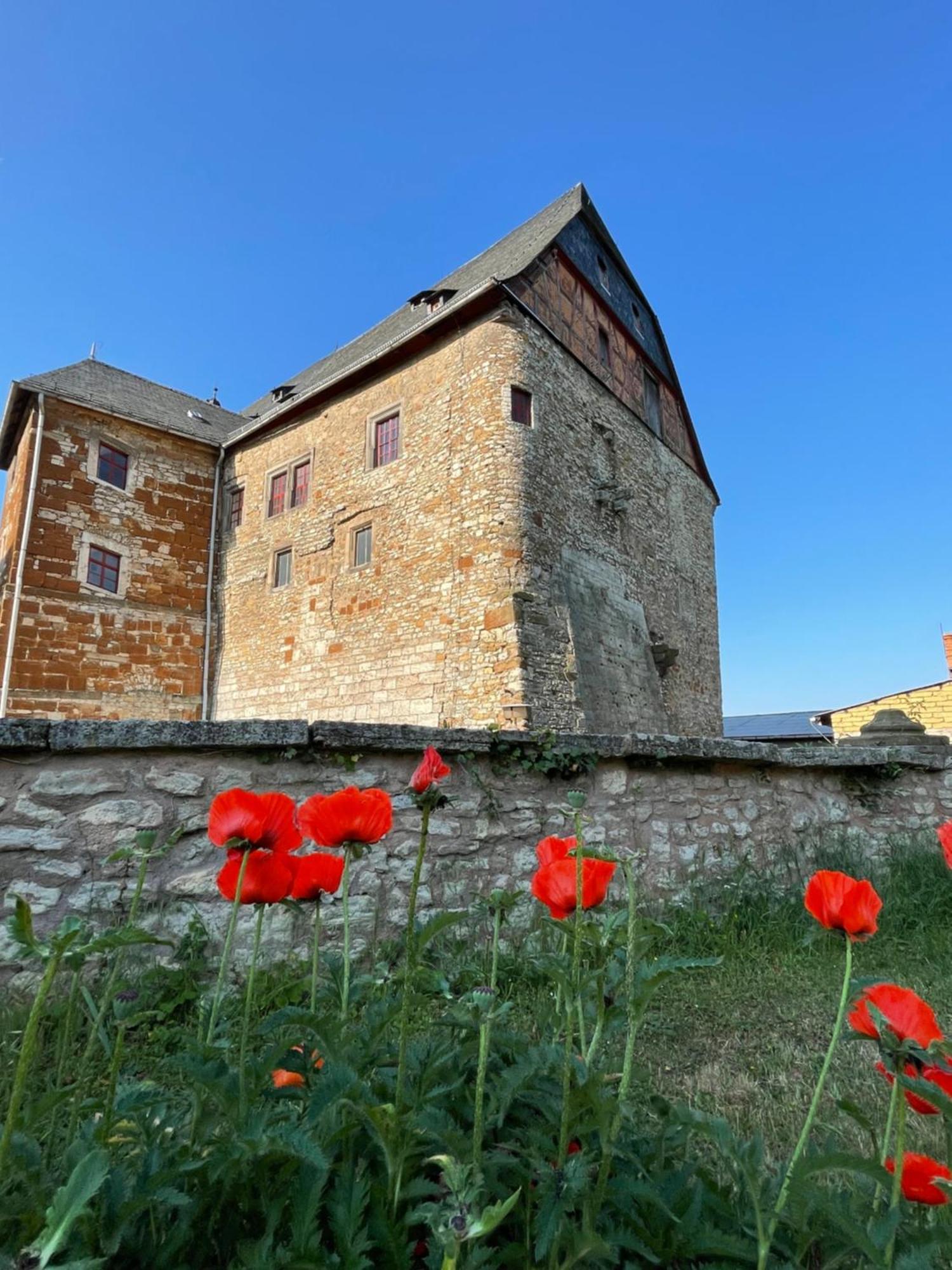 Schloss Beichlingen Bagian luar foto