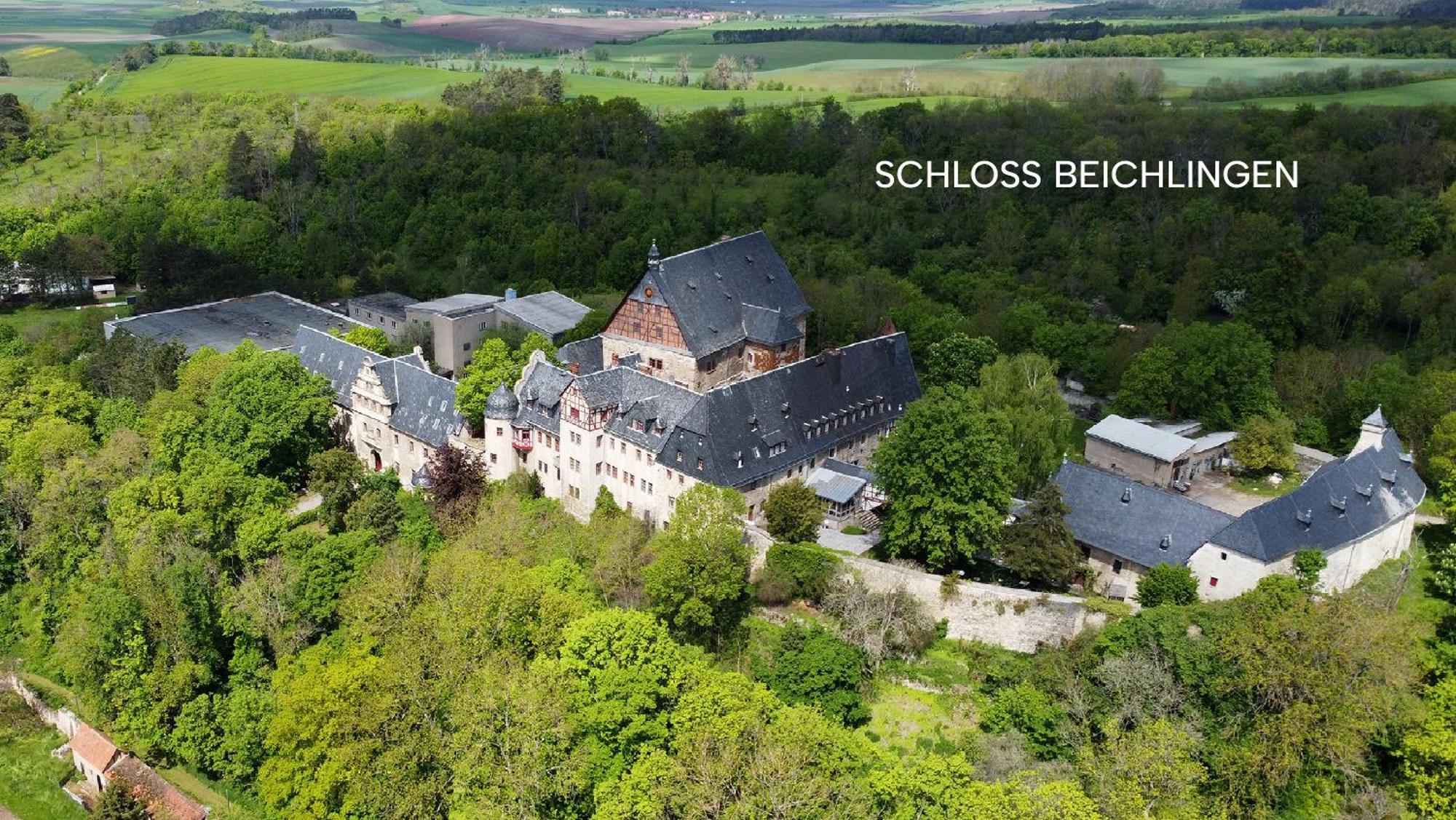 Schloss Beichlingen Bagian luar foto
